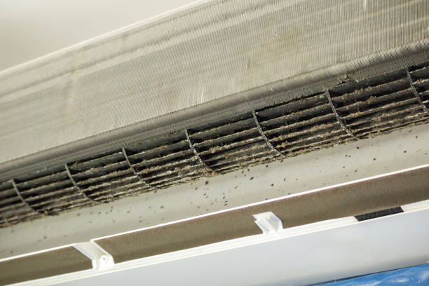 Best Ventilation System Cleaning in Jefferson, OH